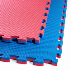 4FIZJO 4FJ0167 Blue/Red